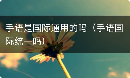 手语是国际通用的吗（手语国际统一吗）