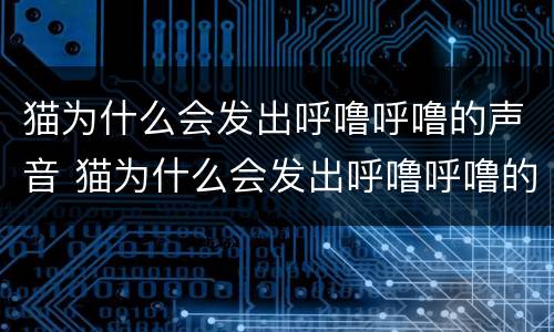 猫为什么会发出呼噜呼噜的声音 猫为什么会发出呼噜呼噜的声音?
