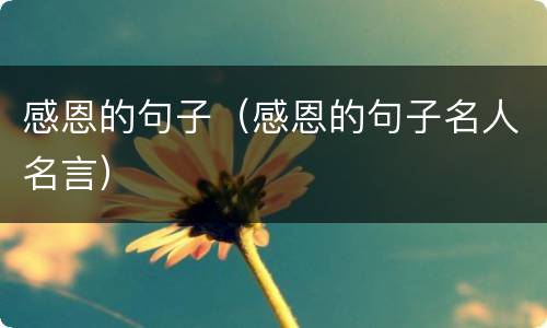 感恩的句子（感恩的句子名人名言）