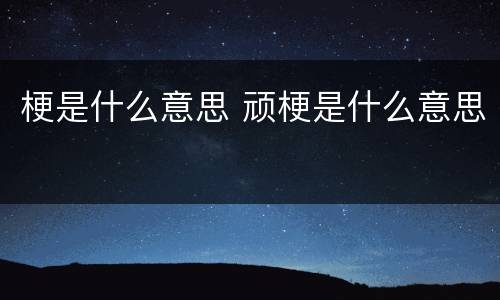 梗是什么意思 顽梗是什么意思