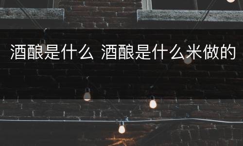 酒酿是什么 酒酿是什么米做的