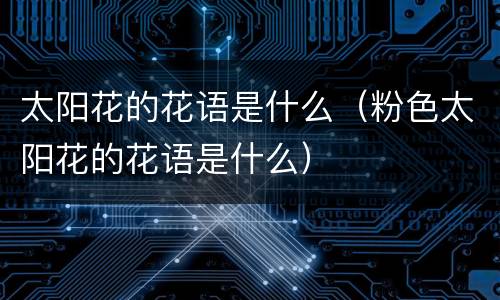 太阳花的花语是什么（粉色太阳花的花语是什么）