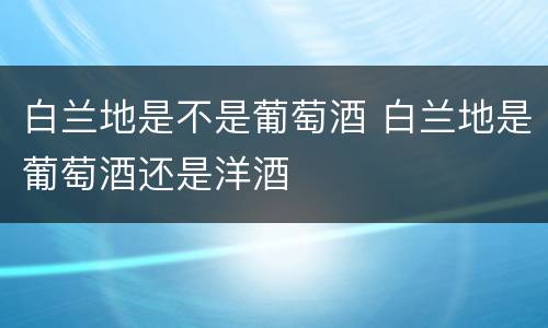白兰地是不是葡萄酒 白兰地是葡萄酒还是洋酒