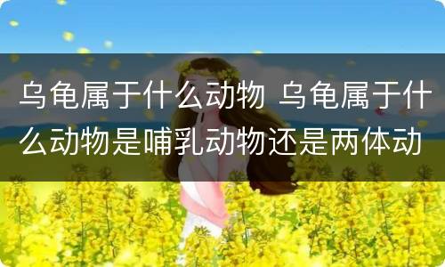 乌龟属于什么动物 乌龟属于什么动物是哺乳动物还是两体动物还是卵生动物