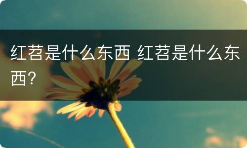 红苕是什么东西 红苕是什么东西?