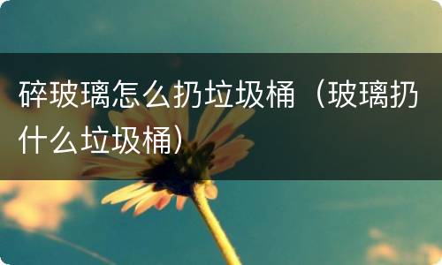 碎玻璃怎么扔垃圾桶（玻璃扔什么垃圾桶）
