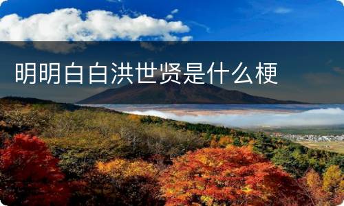 明明白白洪世贤是什么梗