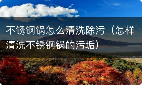 不锈钢锅怎么清洗除污（怎样清洗不锈钢锅的污垢）