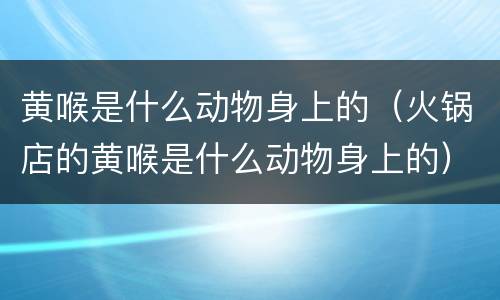 黄喉是什么动物身上的（火锅店的黄喉是什么动物身上的）
