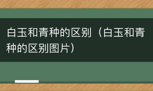 白玉和青种的区别（白玉和青种的区别图片）