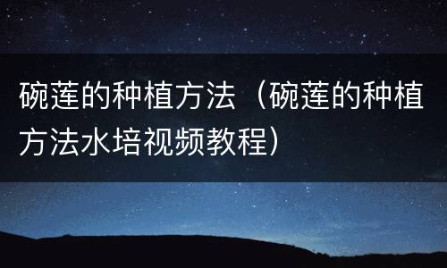 碗莲的种植方法（碗莲的种植方法水培视频教程）