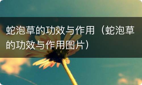蛇泡草的功效与作用（蛇泡草的功效与作用图片）