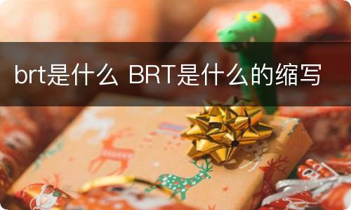 brt是什么 BRT是什么的缩写