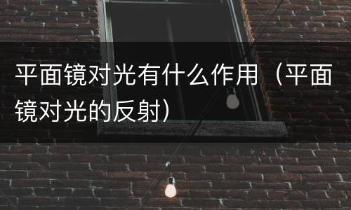 平面镜对光有什么作用（平面镜对光的反射）