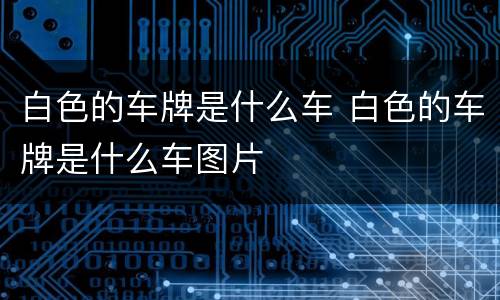 白色的车牌是什么车 白色的车牌是什么车图片
