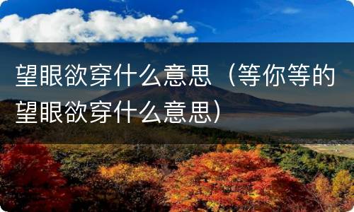 望眼欲穿什么意思（等你等的望眼欲穿什么意思）