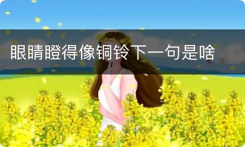 眼睛瞪得像铜铃下一句是啥