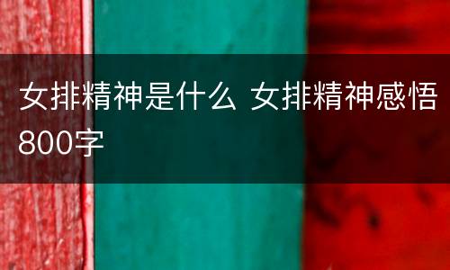 女排精神是什么 女排精神感悟800字