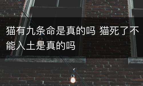 猫有九条命是真的吗 猫死了不能入土是真的吗