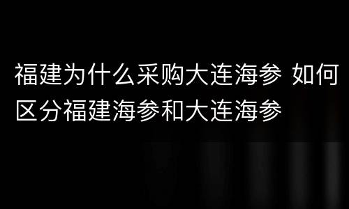 福建为什么采购大连海参 如何区分福建海参和大连海参
