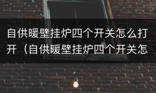 自供暖壁挂炉四个开关怎么打开（自供暖壁挂炉四个开关怎么打开图解）