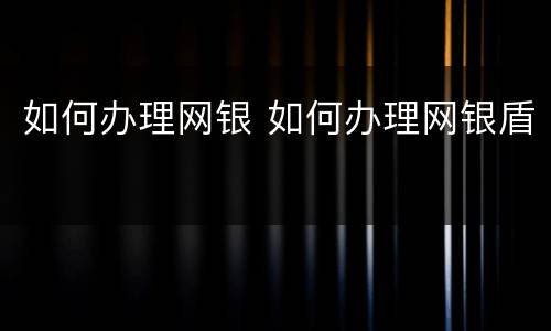 如何办理网银 如何办理网银盾