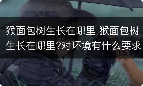 猴面包树生长在哪里 猴面包树生长在哪里?对环境有什么要求?