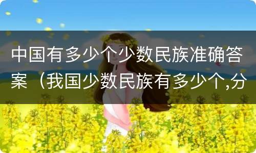 中国有多少个少数民族准确答案（我国少数民族有多少个,分别是）