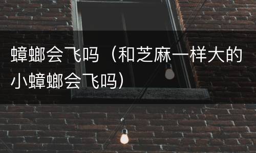 蟑螂会飞吗（和芝麻一样大的小蟑螂会飞吗）