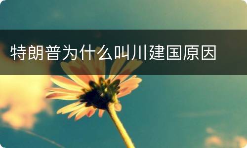 特朗普为什么叫川建国原因
