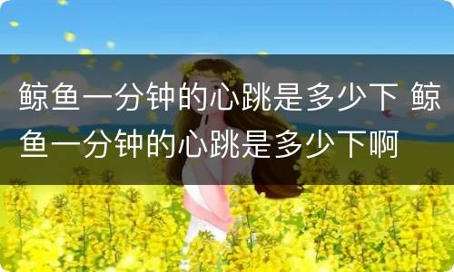 鲸鱼一分钟的心跳是多少下 鲸鱼一分钟的心跳是多少下啊