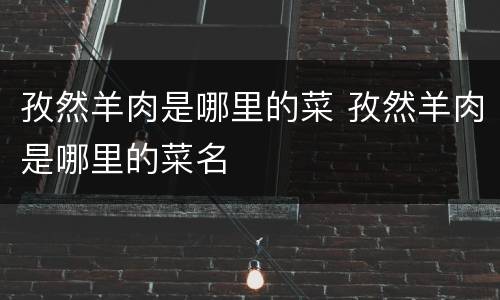 孜然羊肉是哪里的菜 孜然羊肉是哪里的菜名