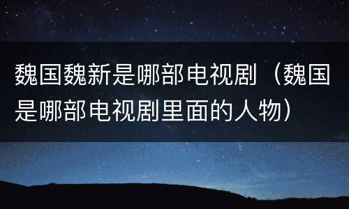 魏国魏新是哪部电视剧（魏国是哪部电视剧里面的人物）
