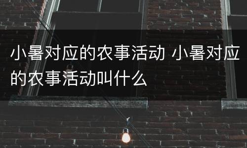 小暑对应的农事活动 小暑对应的农事活动叫什么