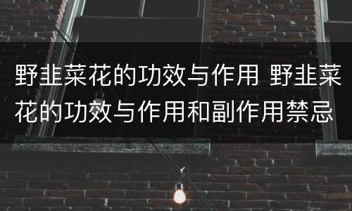 野韭菜花的功效与作用 野韭菜花的功效与作用和副作用禁忌