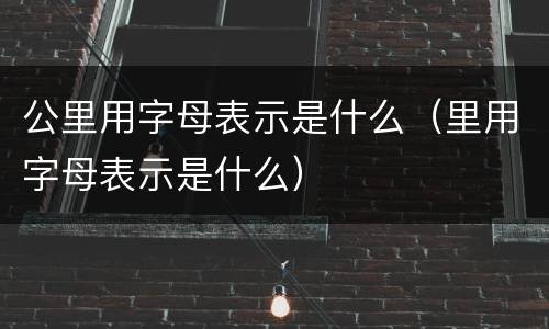 公里用字母表示是什么（里用字母表示是什么）