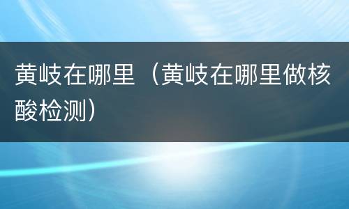 黄岐在哪里（黄岐在哪里做核酸检测）