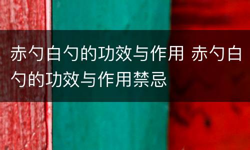 赤勺白勺的功效与作用 赤勺白勺的功效与作用禁忌
