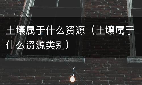土壤属于什么资源（土壤属于什么资源类别）