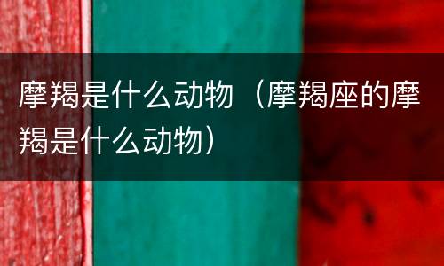 摩羯是什么动物（摩羯座的摩羯是什么动物）