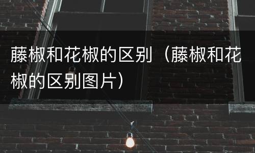 藤椒和花椒的区别（藤椒和花椒的区别图片）