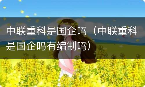 中联重科是国企吗（中联重科是国企吗有编制吗）