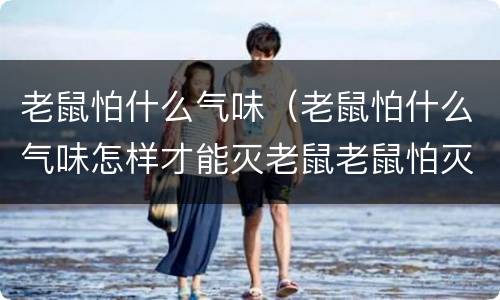 老鼠怕什么气味（老鼠怕什么气味怎样才能灭老鼠老鼠怕灭害灵吗?）