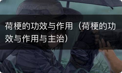 荷梗的功效与作用（荷梗的功效与作用与主治）
