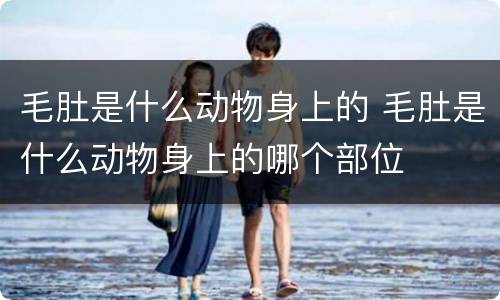 毛肚是什么动物身上的 毛肚是什么动物身上的哪个部位