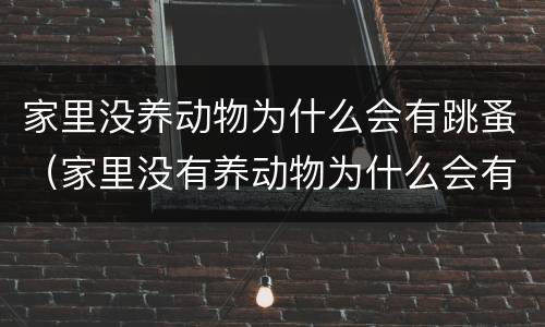 家里没养动物为什么会有跳蚤（家里没有养动物为什么会有跳蚤）