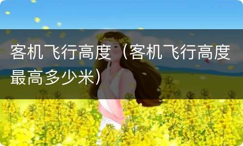 客机飞行高度（客机飞行高度最高多少米）