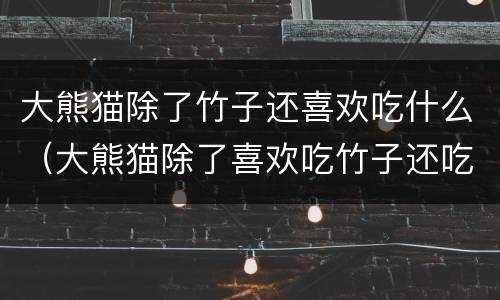大熊猫除了竹子还喜欢吃什么（大熊猫除了喜欢吃竹子还吃什么）