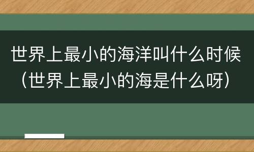 世界上最小的海洋叫什么时候（世界上最小的海是什么呀）