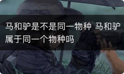 马和驴是不是同一物种 马和驴属于同一个物种吗